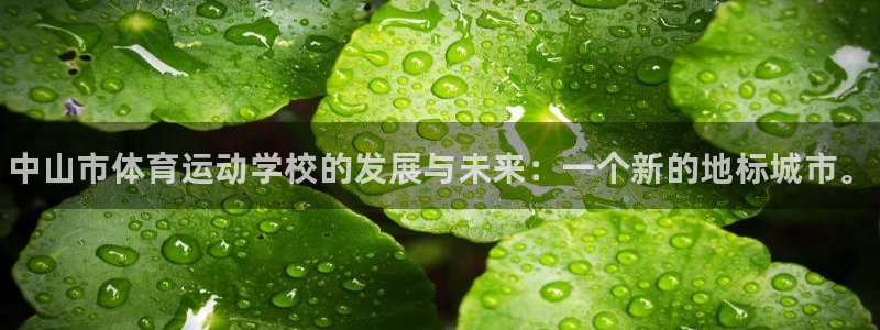 米兰体育官方正版app五金厂：中山市体育运动学校的发