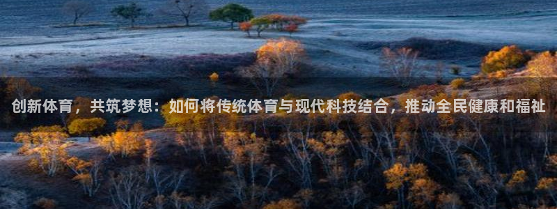 米兰体育官网下载平台注册流程视频：创新体育，共筑梦想