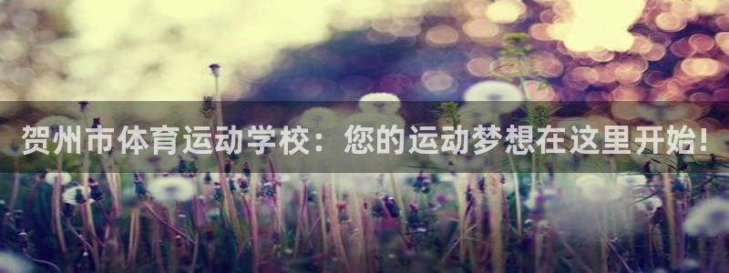 米兰体育官方正版app代理：贺州市体育运动学校：您的