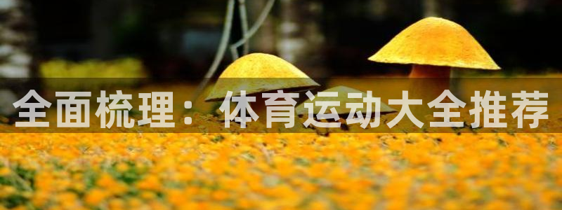 米兰体育官方正版app官方：全面梳理：体育运动大全推