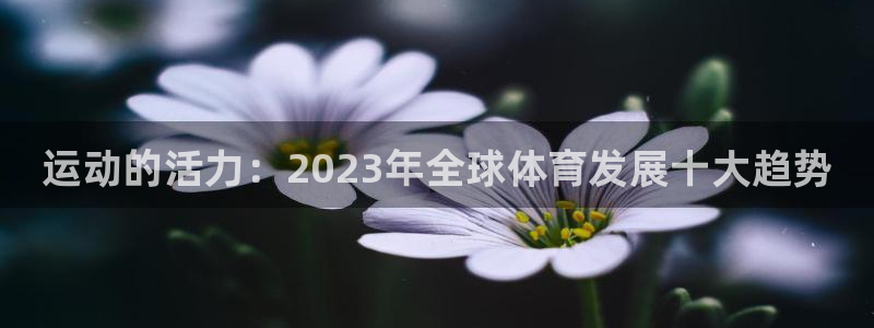 米兰体育官方正版app娱乐首页网站大全：运动的活力：