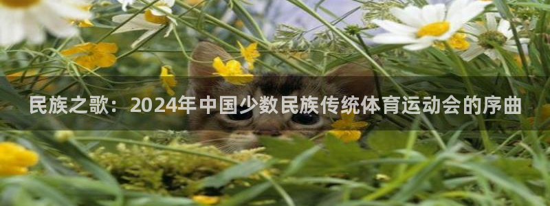 米兰体育官方正版app娱乐40996