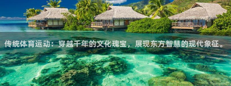 米兰体育官方正版app代理：传统体育运动：穿越千年的文化瑰宝