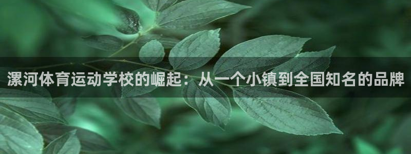 米兰体育官网下载平台注册：漯河体育运动学校的崛起：从一个小镇