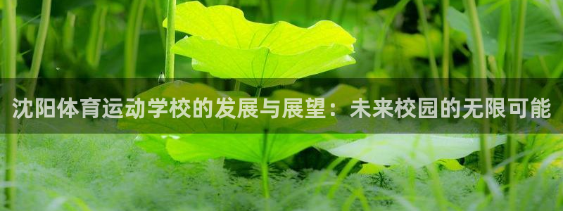 米兰体育官方正版app集团E.ON