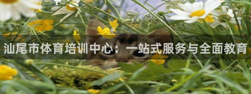 米兰体育官方集团官网：汕尾市体育培训中心：一站式服务与全面教