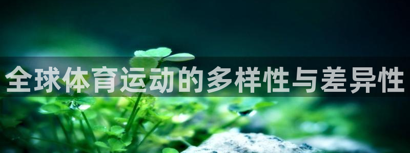 米兰体育官方正版app神州