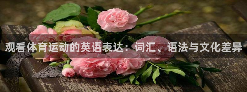 米兰体育官网下载娱乐：观看体育运动的英语表达：词汇、语法与文