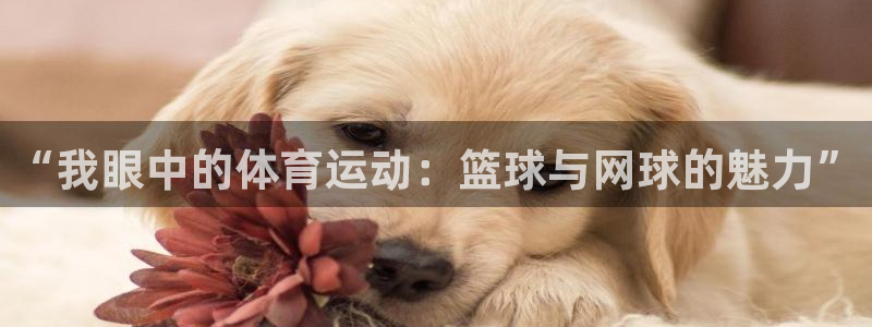 米兰体育官网下载平台注册要钱吗安全吗：“我眼中的体育运动：篮