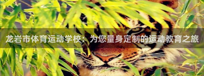 米兰体育官方正版app集团官网首页网址