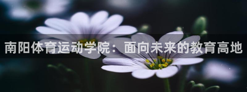米兰体育官方正版app开户