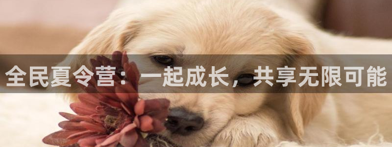 米兰体育官方正版app神州：全民夏令营：一起成长，共享无限可