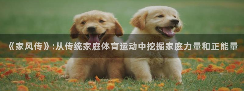 米兰体育官网下载平台是正规平台吗：《家风传》:从传统家庭体育