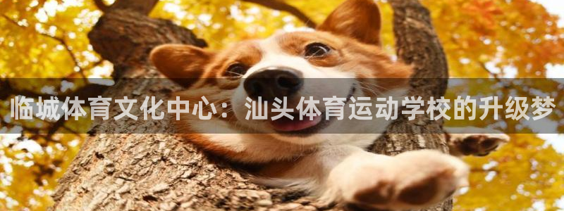 米兰体育官网下载软件