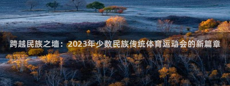 米兰体育官方正版app科技：跨越民族之墙：2023年少数民族