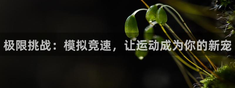 米兰体育官网下载招商电话：极限挑战：模拟竞速，让运动成为你的