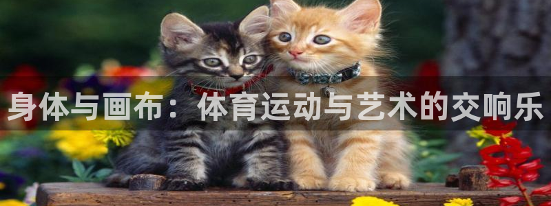 米兰体育官网下载招商电话：身体与画布：体育运动与艺术的交响乐