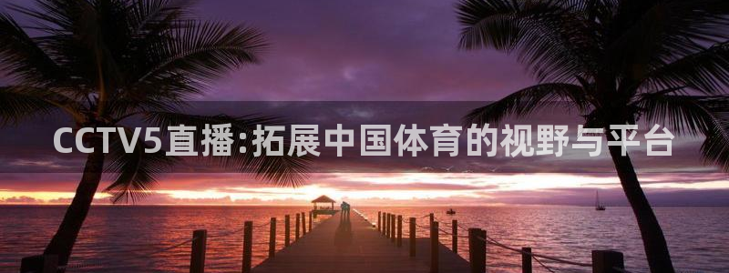 球友体育：CCTV5直播:拓展中国体育的视野与平台