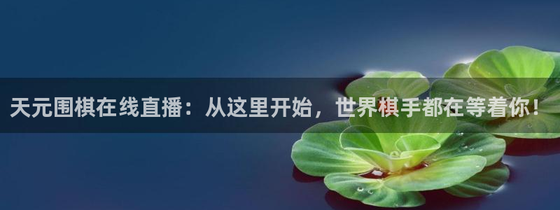 qy球友会体育网址：天元围棋在线直播：从这里开始，世界棋手都在等着你！