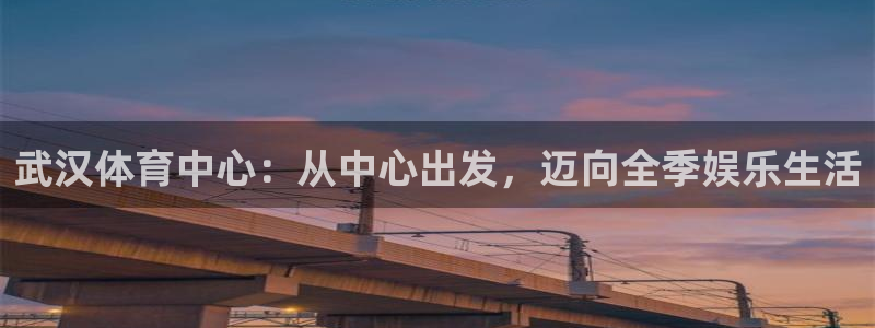 米兰体育官网下载平台假的吗是真的吗：武汉体育中心：从中心出发
