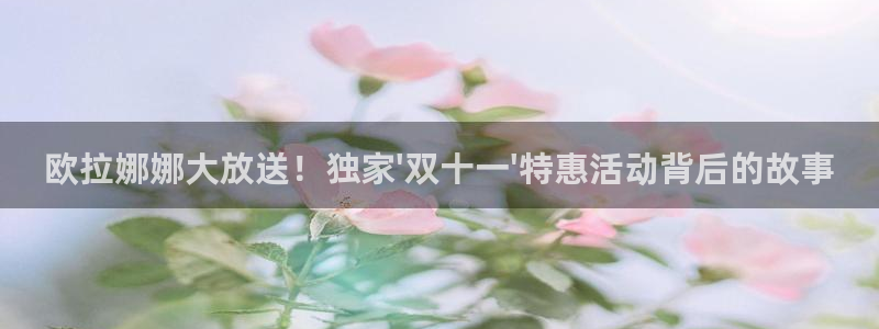 qy球友会体育网站：欧拉娜娜大放送！独家\'双十一\'特惠活动背后的故事