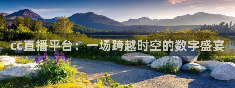 球友直播ios：cc直播平台：一场跨越时空的数字盛宴