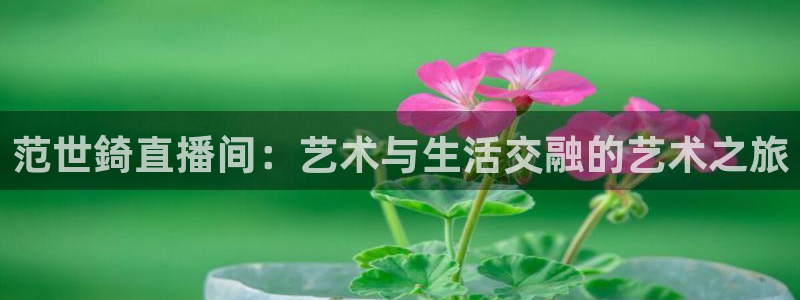 球友会体育：范世錡直播间：艺术与生活交融的艺术之旅
