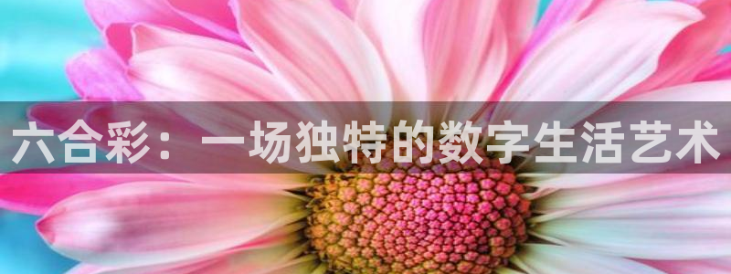 球友会直播：六合彩：一场独特的数字生活艺术